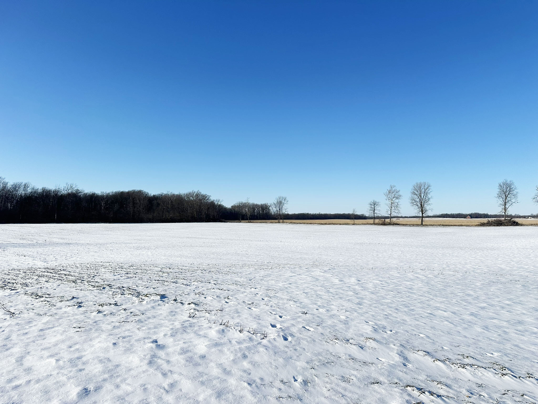 Degelow Farms