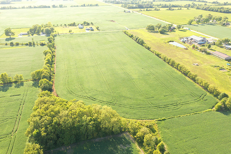 Harshman Family Farms