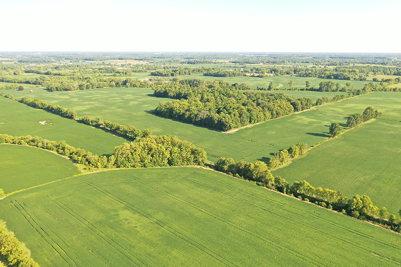 Harshman Family Farms