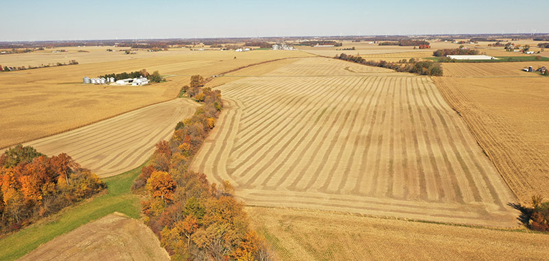 Robert J Curry Jr. Trust Farms