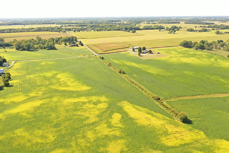 Schlegel Family Farm LLC