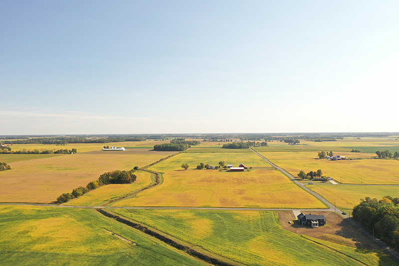 Boyer Farm Irrevocable Trust