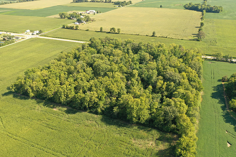 Harshman Family Farms