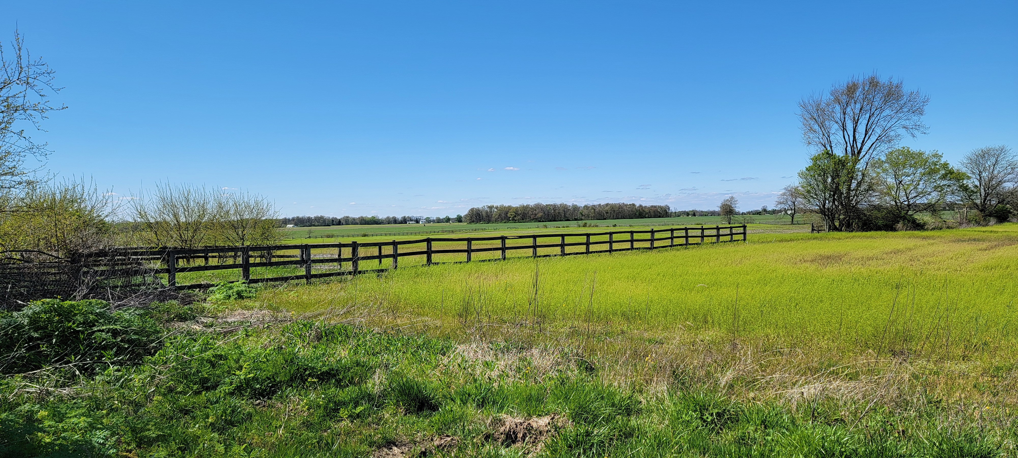 Estate of James W. Easley