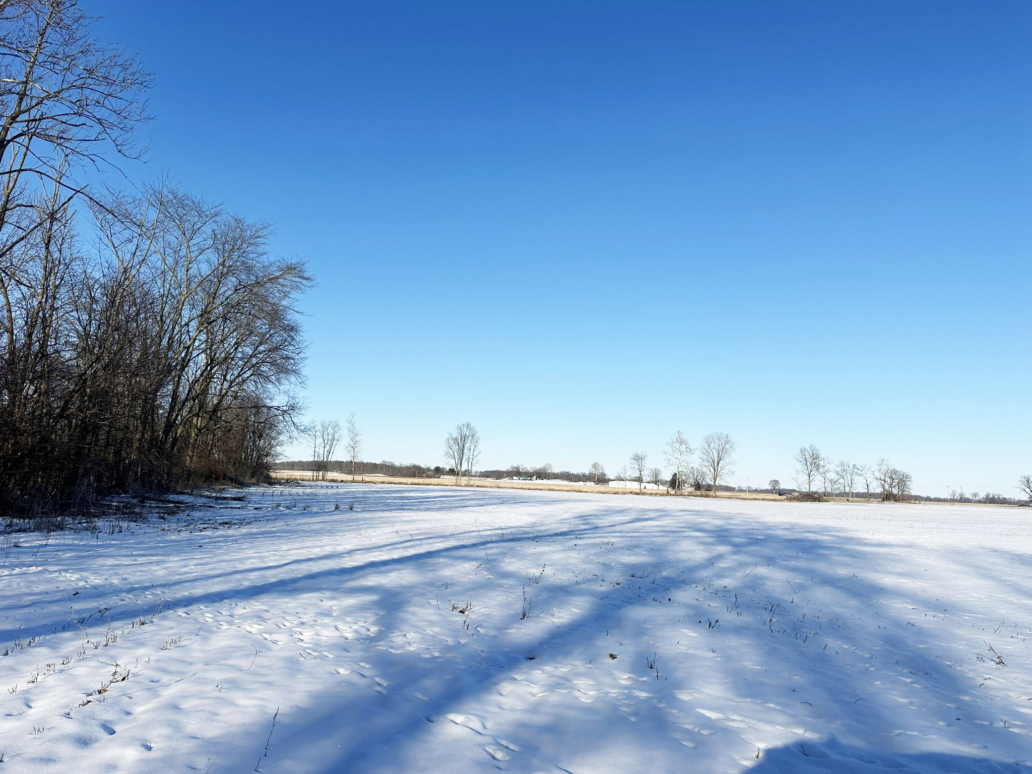 Degelow Farms