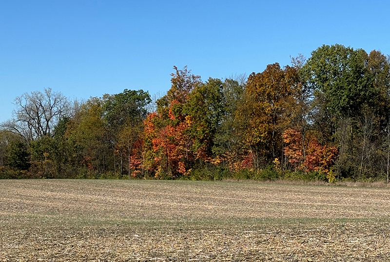 Crandall Farm