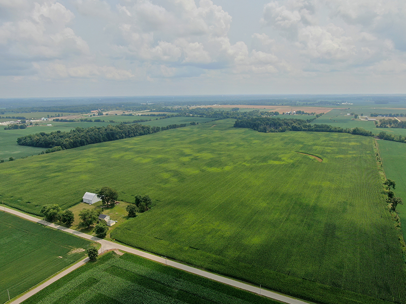 Estate of Peggy Scholl