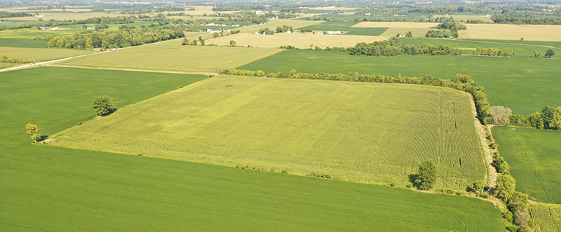 Harshman Family Farms