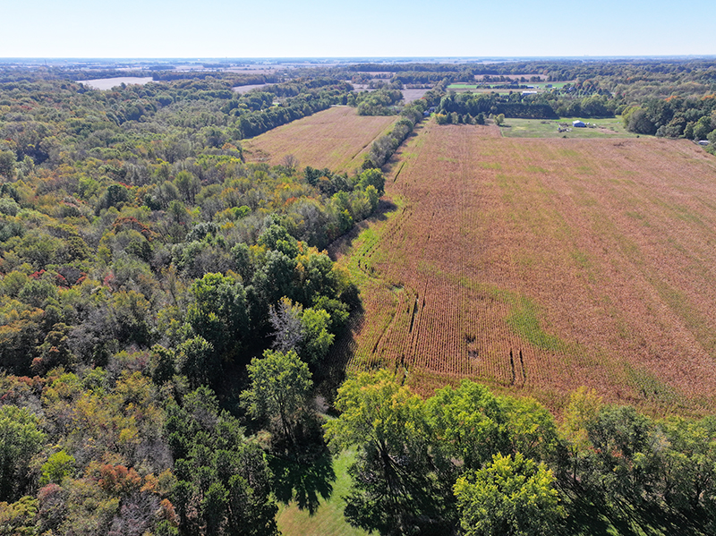 Coulter Farm