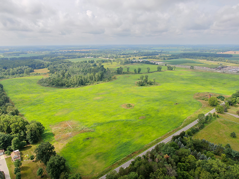 Patrick Farm