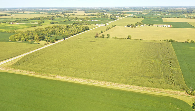 Harshman Family Farms