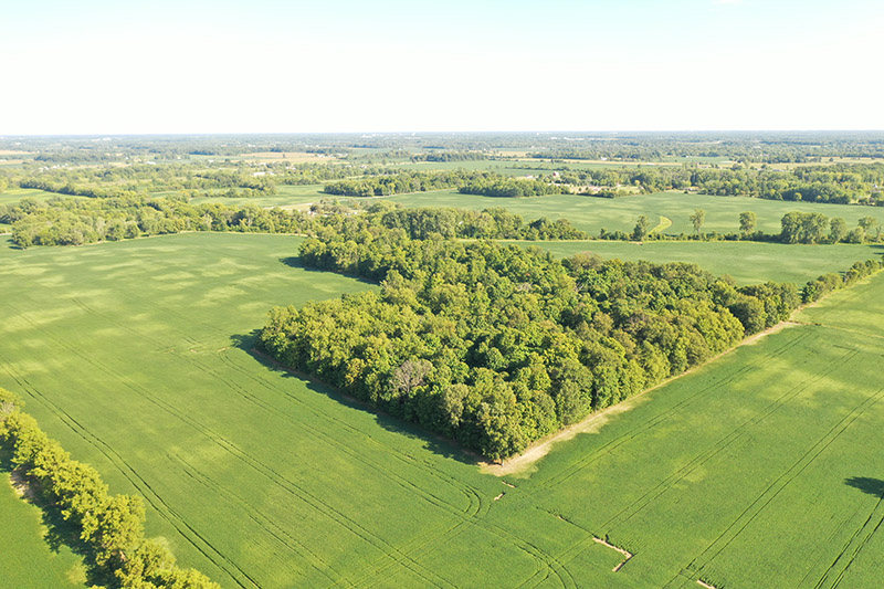 Harshman Family Farms