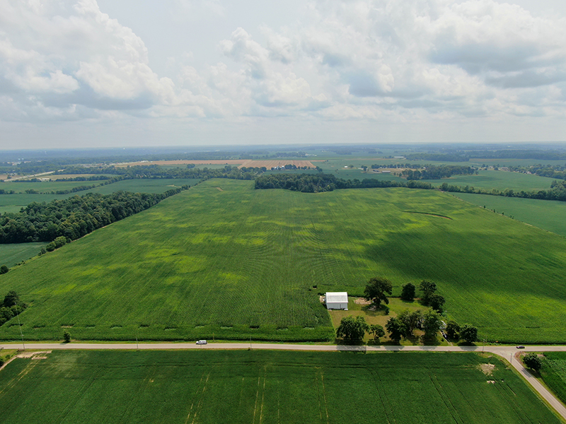 Estate of Peggy Scholl