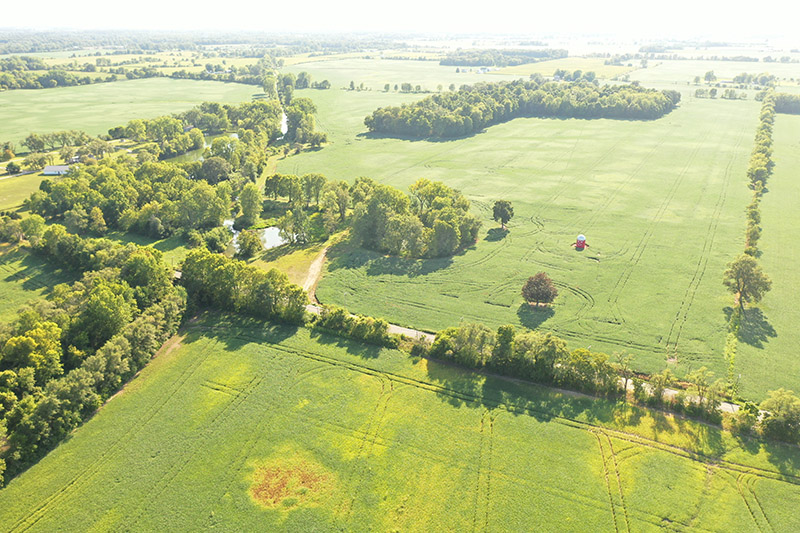 Harshman Family Farms