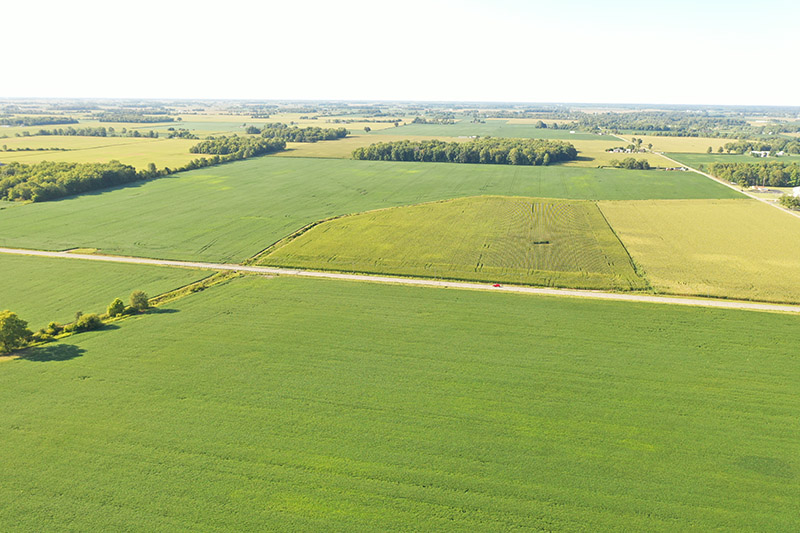 Harshman Family Farms