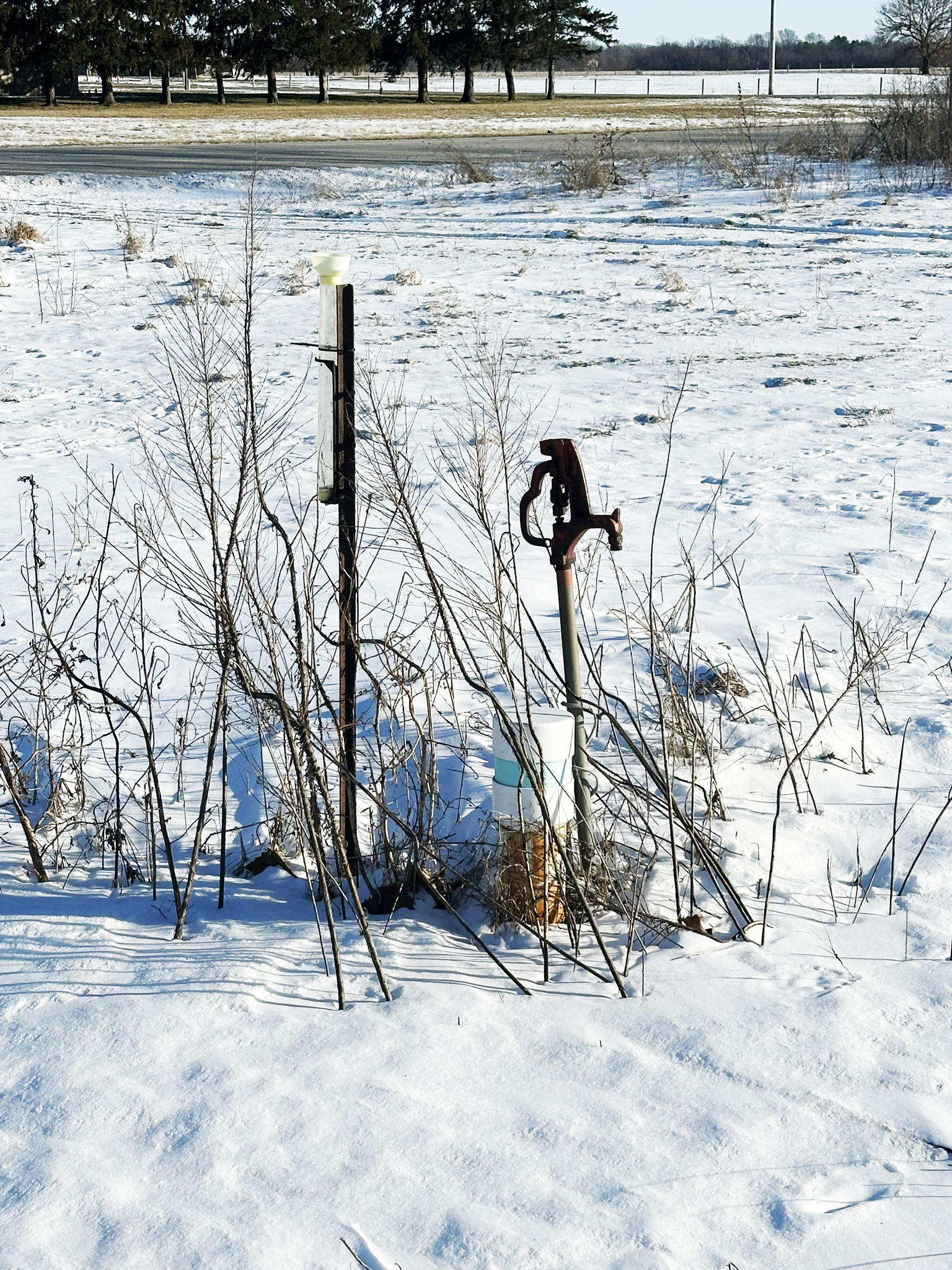 Degelow Farms