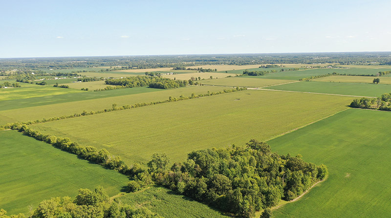 Harshman Family Farms