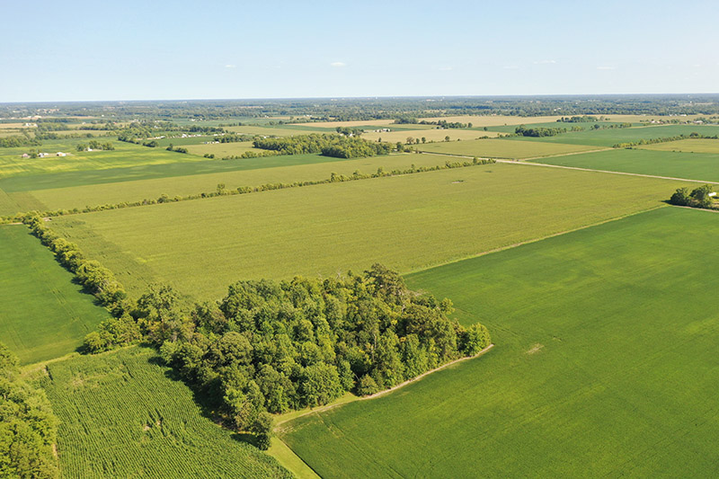 Harshman Family Farms